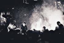 23 - Please the Trees (2)