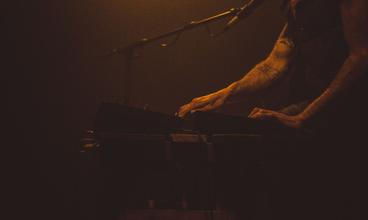 TIMBERRATTLE01