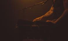 TIMBERRATTLE01