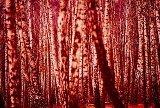 08 Waiting Around to Die