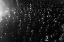cult of fire-5