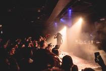 Chris Travis
