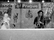 New sound orchestra (2)