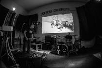Thculture (3)