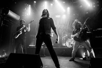 green lung24