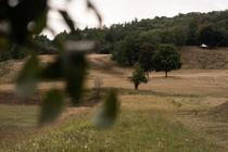 05_lec_poval