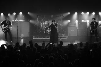 The Cult (4)