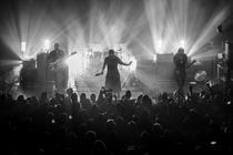 The Cult (8)