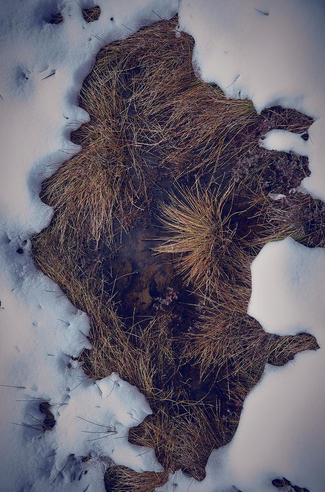 fullmoonzine.cz