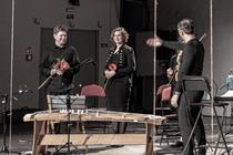 Jonas_Stary_Anna_Romanovska_Fliegerova_Peter_Vrabel
