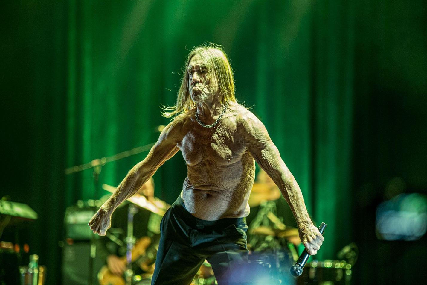 Iggy (1)