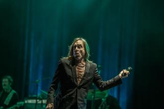 Iggy (2)