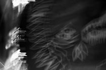 All Them Witches 5