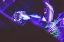 8_MORILD