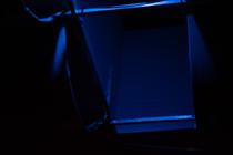 03_cole_pulice_evil_medved
