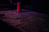 08_cole_pulice_evil_medved