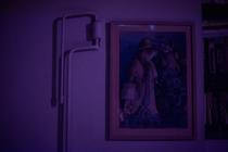 16_cole_pulice_evil_medved