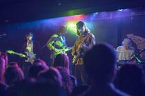 Wild_Nothing (6)