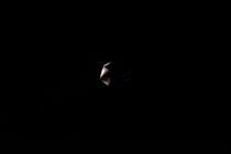 03_yann_tiersen_tt