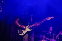 Haywire 5
