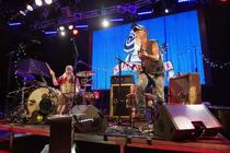 SeasickSteve_8