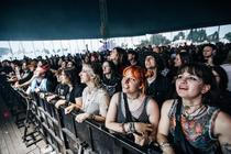 Fans 7