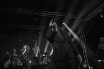 Laibach (5)
