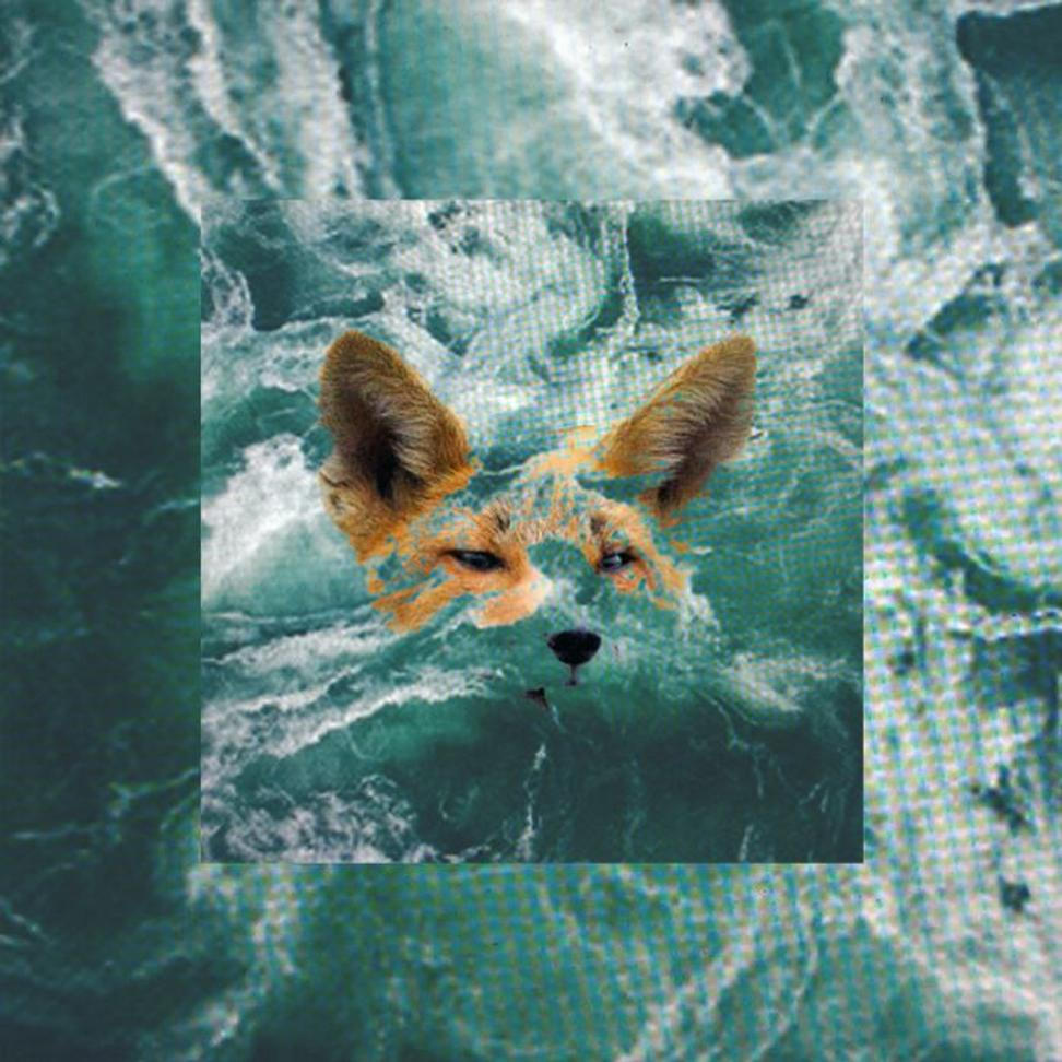 is7_fox2