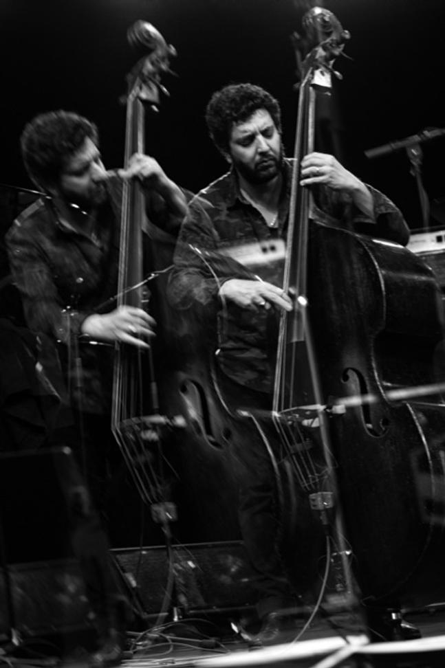 017OmerAvital