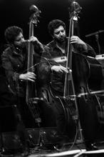 017OmerAvital