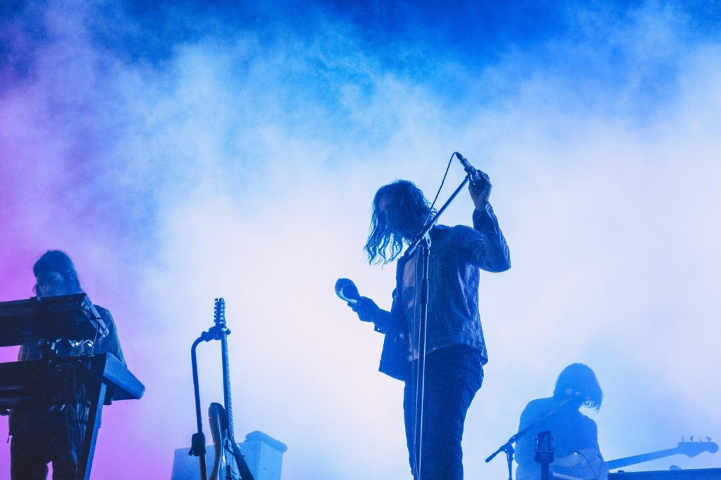 TAMEIMPALA1