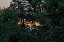 LFŠ_10 (5)