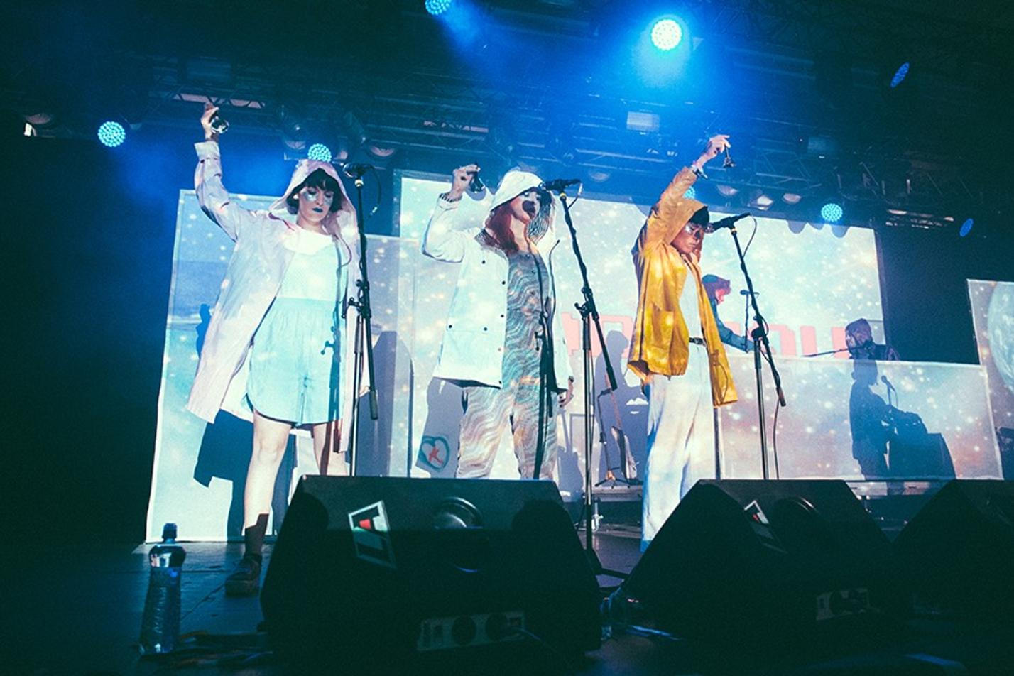 Superorganism
