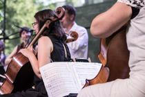 005OrchestrFOlkovek