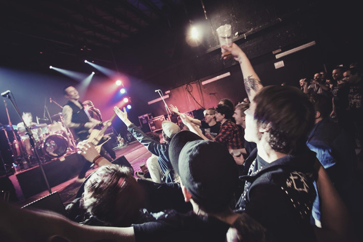 The Vibrators 12