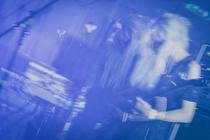 The Wild Roots 4