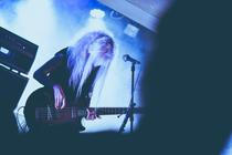 The Wild Roots 6