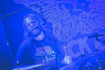 The Wild Roots 5