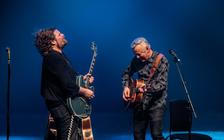 Tommy Emmanuel in concert, Royal Festival Hall, London, UK - 3499