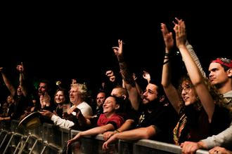 FANS_2 (7)