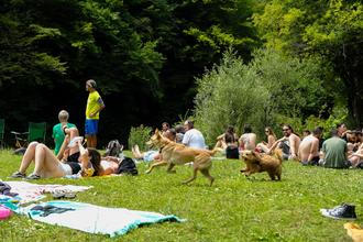 ATMO_2 (28)
