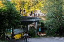 CAMP_1