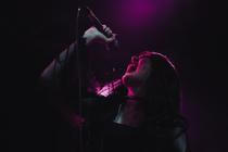 VENUS GRRRLS