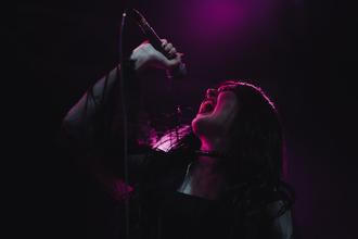 VENUS GRRRLS