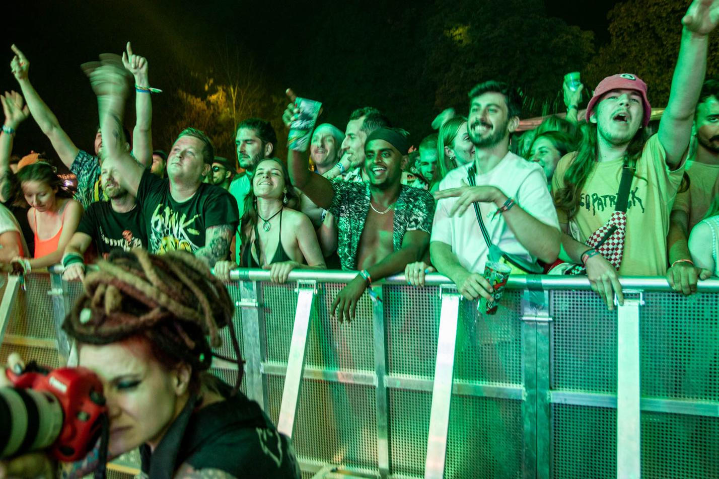Szigetané (10)