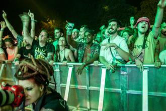 Szigetané (10)