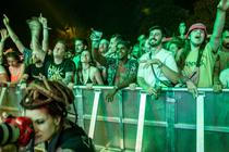 Szigetané (10)
