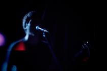 Des Ark (12)