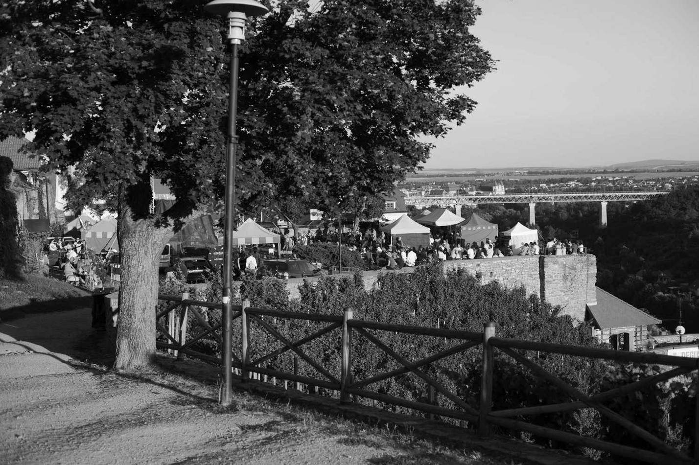 010_sraml_fest