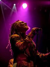Winston McAnuff & Fixi_6